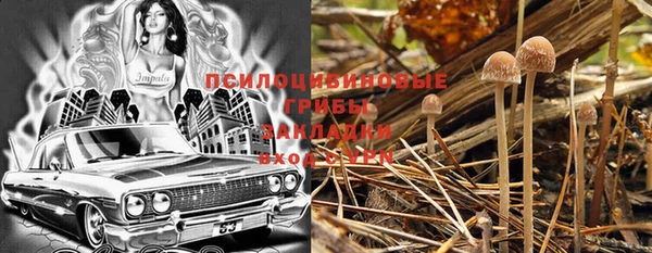 кокс Алексин