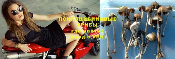 эйфоретик Алексеевка