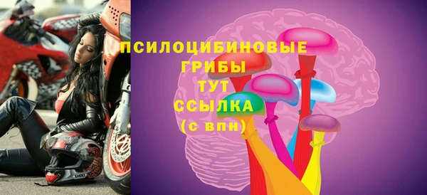 a pvp Алзамай
